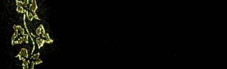 E9